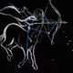 Star Gazer