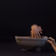 233