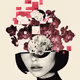 Fl0w3rs Collection 1/1 Shape