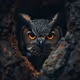 sssS