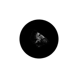 Fragment #196