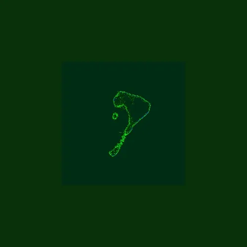 Fragment #186