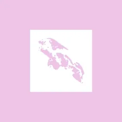 Fragment #233
