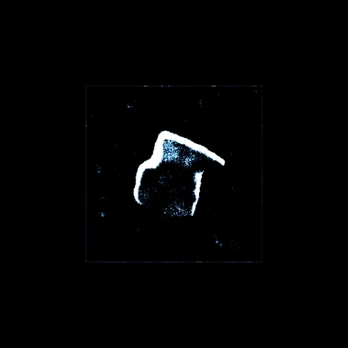 Fragment #264