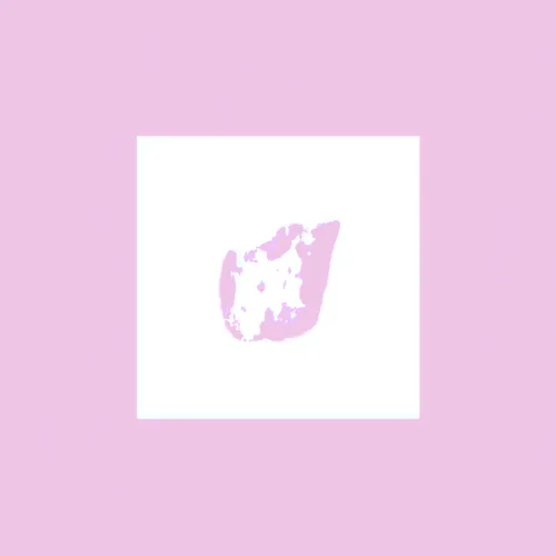 Item #35 Media