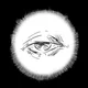 In the Blink of an Eye