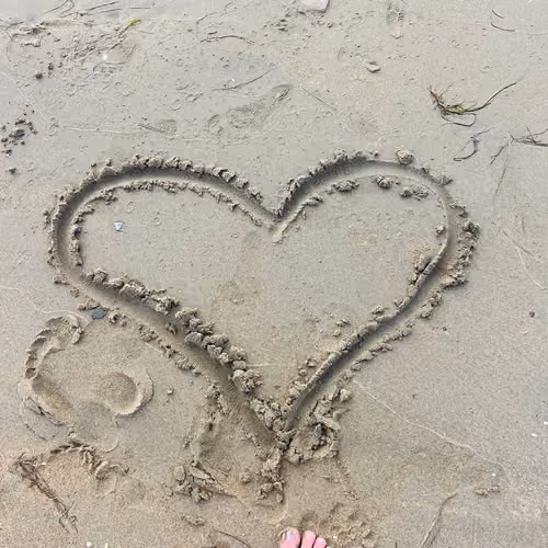 Heart