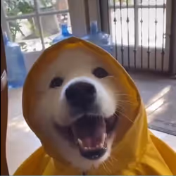 1166
