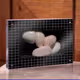 1313