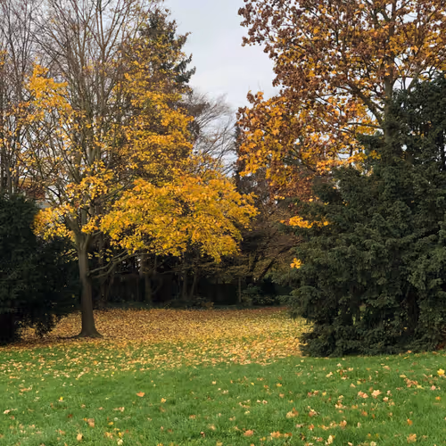 Seasons