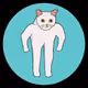 SHAPE CAT OG