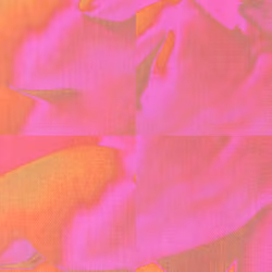 Bodies of Color #12