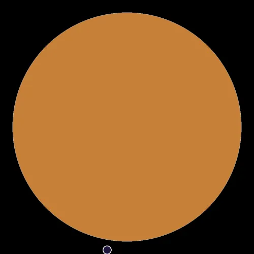 1007