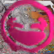 57