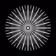 Shape of Visions