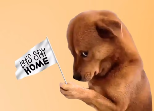 Doge