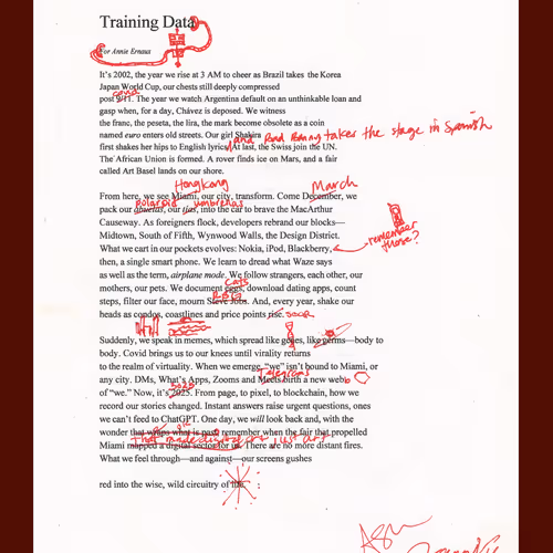 Ashley Zelinskie x Jeannie Vu x Angelle Siyang-Le’s Training Data