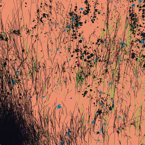 Infinite Garden: 27800 Flowers