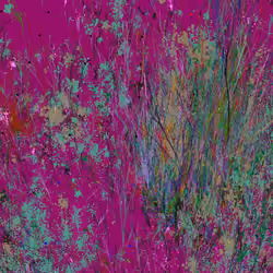 Infinite Garden: 52425 Flowers