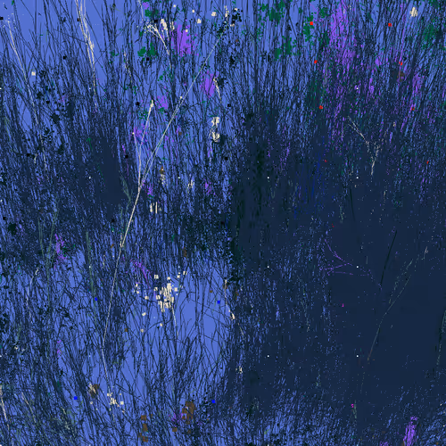 Infinite Garden: 45260 Flowers