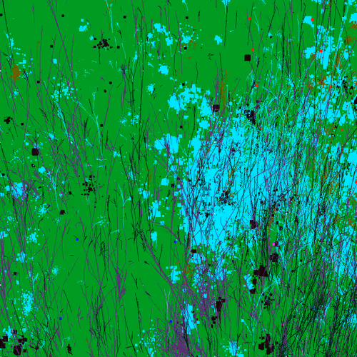 Infinite Garden: 16007 Flowers