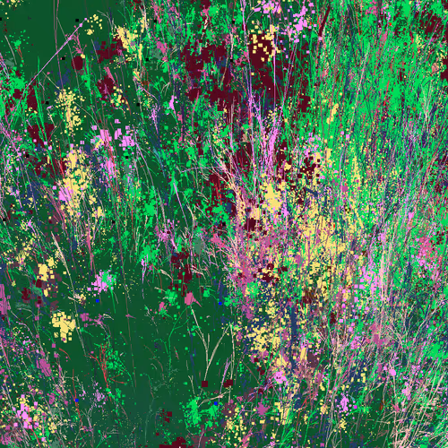 Infinite Garden: 67052 Flowers
