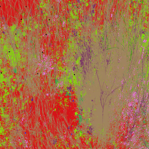 Infinite Garden: 64943 Flowers