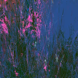 Infinite Garden: 395564 Flowers