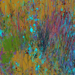 Infinite Garden: 55900 Flowers