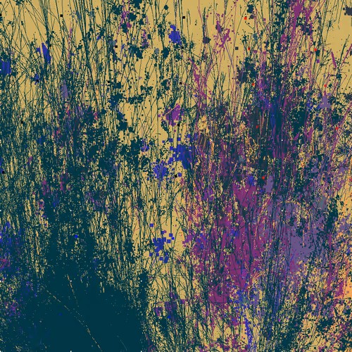 Infinite Garden: 21282 Flowers