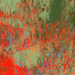 Infinite Garden: 219100 Flowers
