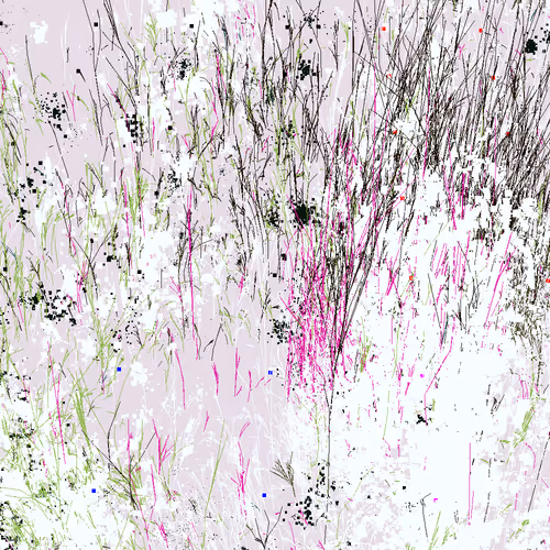 Infinite Garden: 45655 Flowers