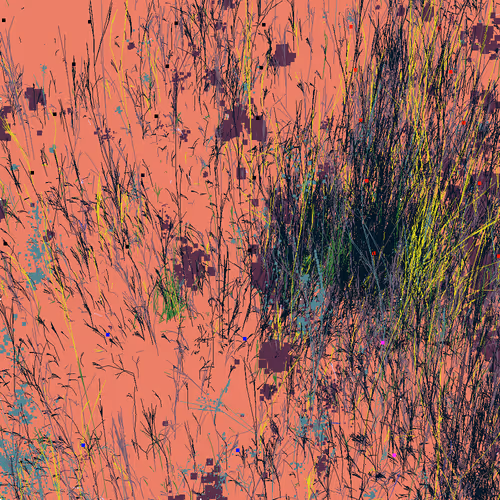 Infinite Garden: 65483 Flowers