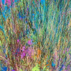 Infinite Garden: 467063 Flowers