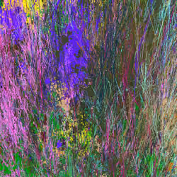 Infinite Garden: 1009324 Flowers