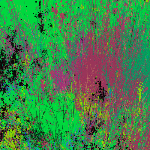 Infinite Garden: 72315 Flowers