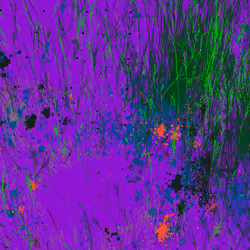 Infinite Garden: 20213 Flowers