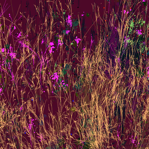 Infinite Garden: 18265 Flowers