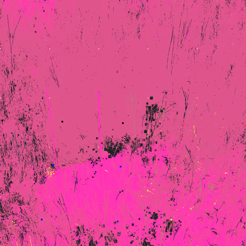 Infinite Garden: 119167 Flowers