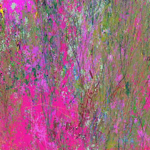 Infinite Garden: 5982727 Flowers