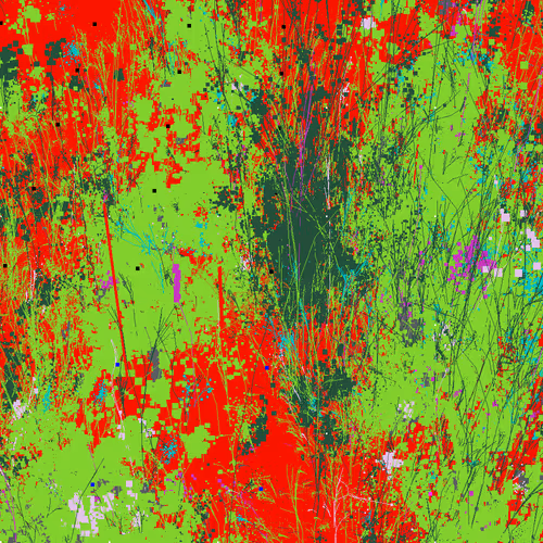 Infinite Garden: 43415 Flowers