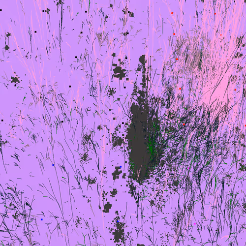 Infinite Garden: 16755 Flowers
