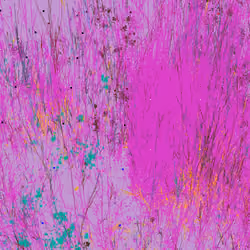 Infinite Garden: 50245 Flowers