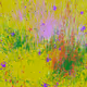 Infinite Garden: 22754 Flowers