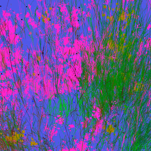 Infinite Garden: 26472 Flowers