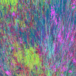 Infinite Garden: 151147 Flowers