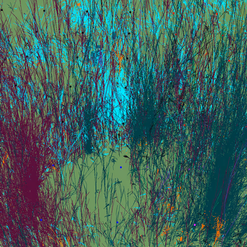 Infinite Garden: 61582 Flowers