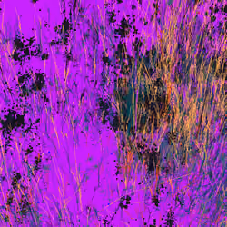 Infinite Garden: 56279 Flowers