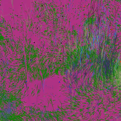 Infinite Garden: 65624 Flowers