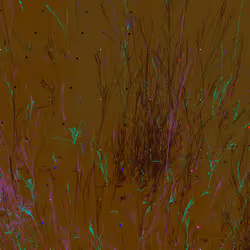 Infinite Garden: 98839 Flowers